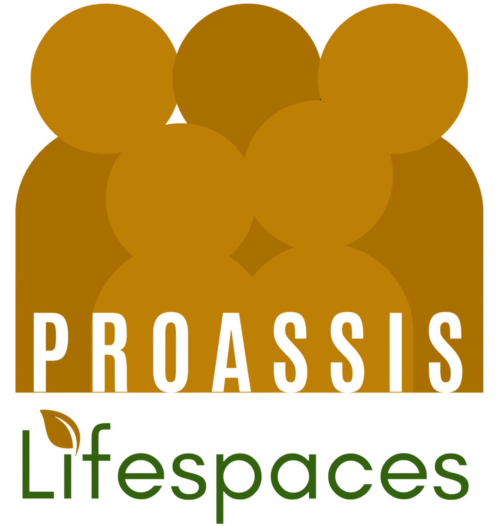 proassis-logo-img